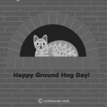 Ground Hog Day.