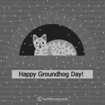 Happy Groundhog Day