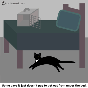 Some days it just doesn't pay to get out from under the bed.