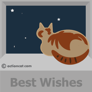 best wishes - cat watching a falling star