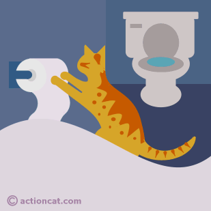 Cat unrolling toilet paper.