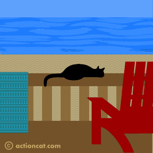 Cat sitting on a deck by water v1