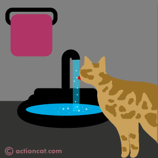 Brown tabby cat drinking from a faucet.