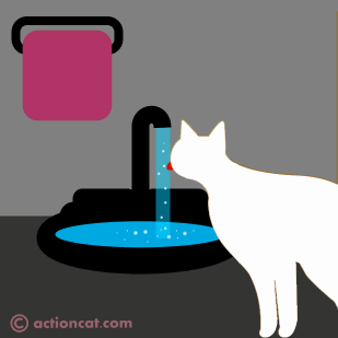 White cat drinking from a faucet.