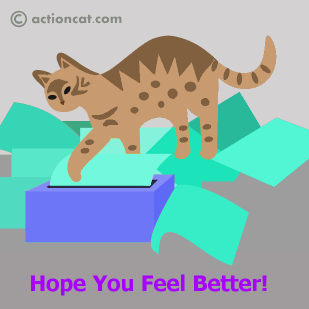 hope you feel better - cat and kleenex