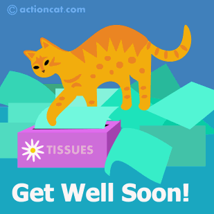 Get well soon! Cat emptying a box of kleenex.