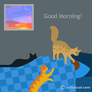 Cats waking up their person - good morning!