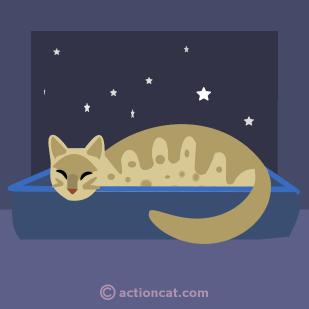 Cat sleeping in window with stars in the background - goodnight.