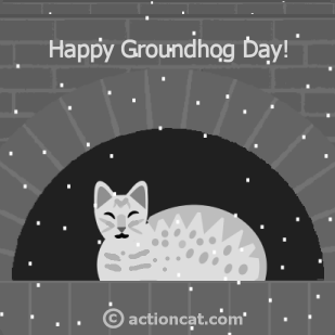Happy Groundhog Day - cat in window with snow