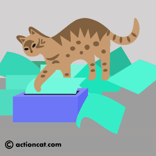 cat removing kleenex