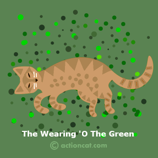 Happy Saint Patrick's Day!