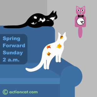Spring Forward!