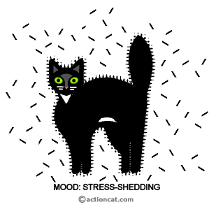 mood - stress shedding! v2