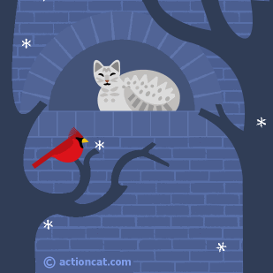 cat in a window watching snow and a cardinal