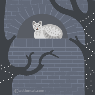 cat in a window looking at the tree lights